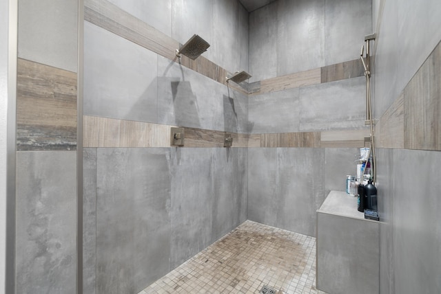2009 35th Ave, Minot, ND 58701 - full bathroom with a tile shower