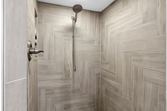 120 25th St, Minot, ND 58701 - bathroom view of tiled shower