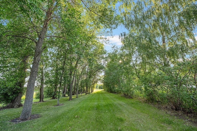 309 4th Ave, Mohall, ND 58761 - view of green lawn