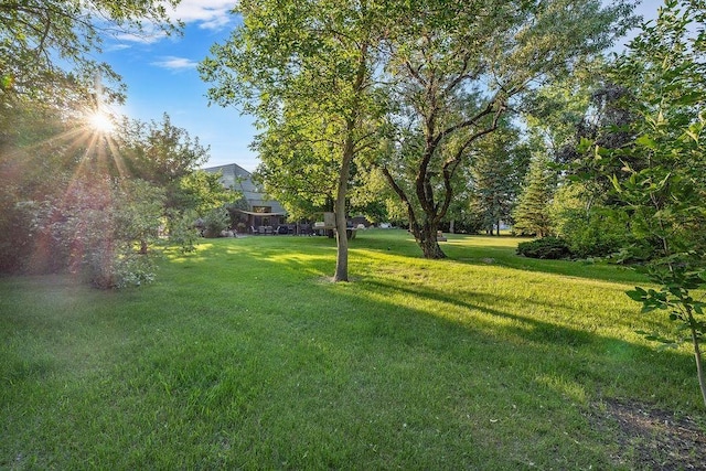 309 4th Ave, Mohall, ND 58761 - view of green lawn