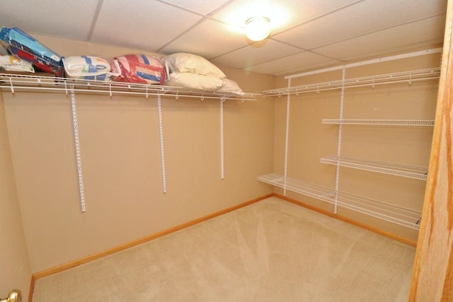 2033 14th St, Minot, ND 58703 - spacious closet featuring carpet floors