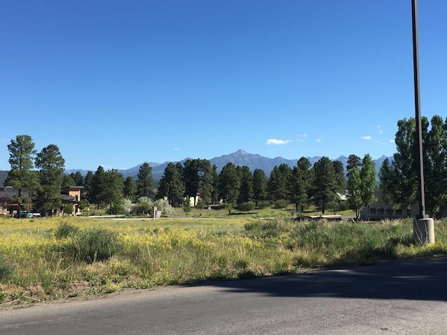 63 N Pagosa Blvd, Pagosa Springs CO, 81147 land for sale