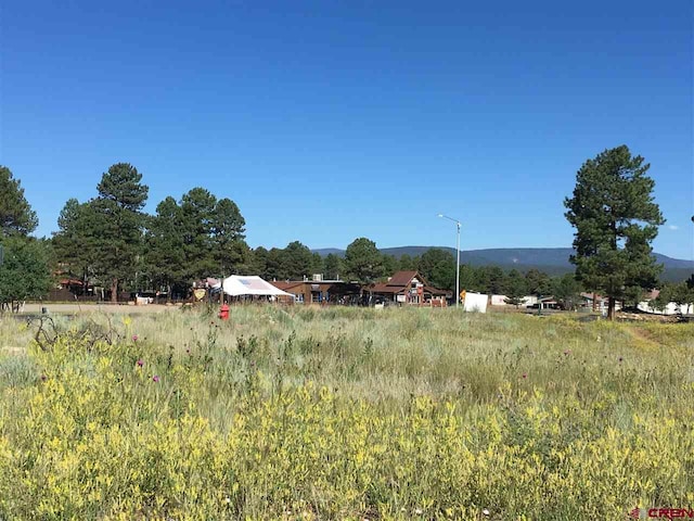 Listing photo 3 for 63 N Pagosa Blvd, Pagosa Springs CO 81147