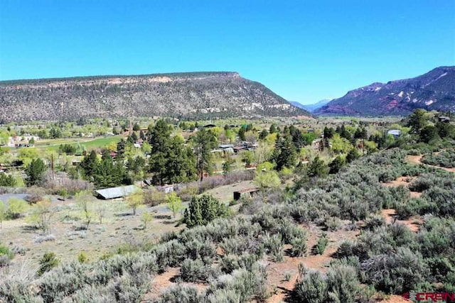 Listing photo 2 for 900 Florida Rd, Durango CO 81301