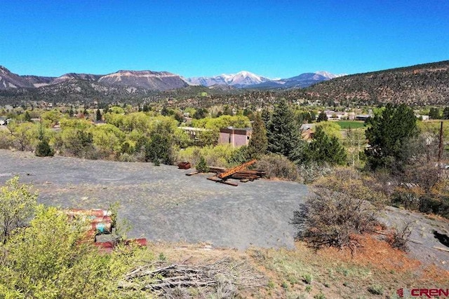 Listing photo 3 for 900 Florida Rd, Durango CO 81301