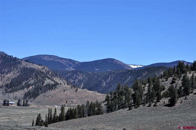 LOT24 Elk Ln, Almont CO, 81210 land for sale