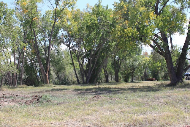 LOT2 6360th Rd, Montrose CO, 81403 land for sale