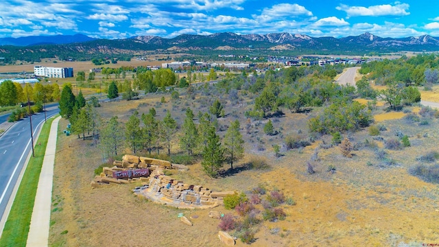 Listing photo 2 for 95 Salt Brush St, Durango CO 81301