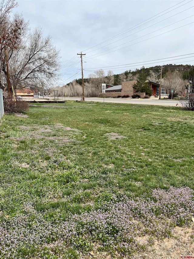 901 Railroad Ave, Dolores CO, 81323 land for sale