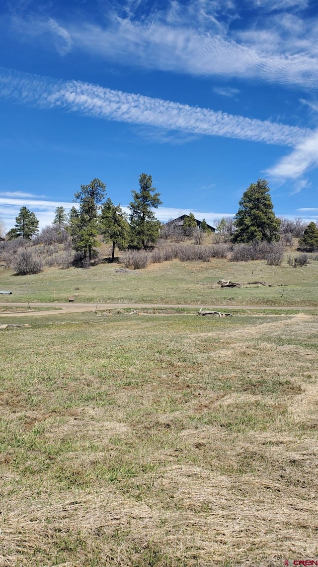 1335 Hills Cir, Pagosa Springs CO, 81147 land for sale