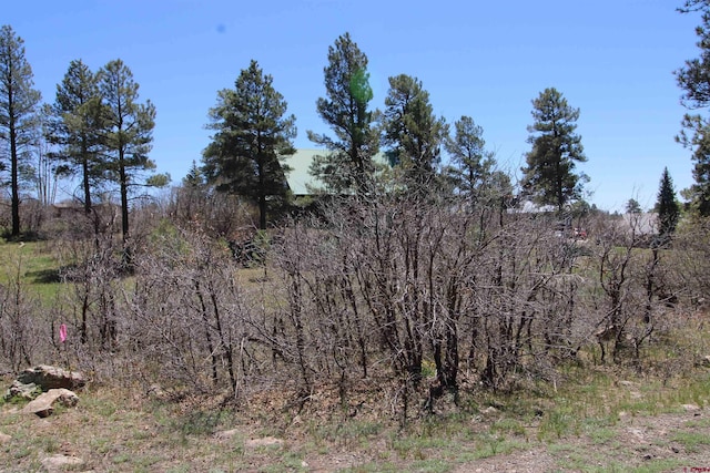 685 Caddy Cir, Pagosa Springs CO, 81147 land for sale