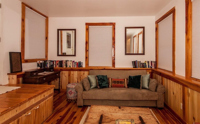 living room featuring dark hardwood / wood-style floors