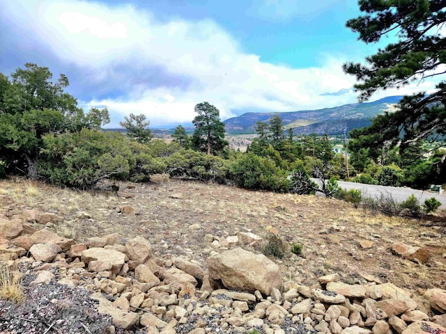 Listing photo 2 for TBD Little Bear Cir S, Fork CO 81154