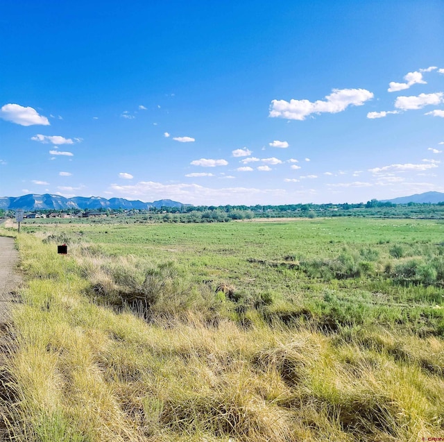 TBD Road L, Cortez CO, 81321 land for sale