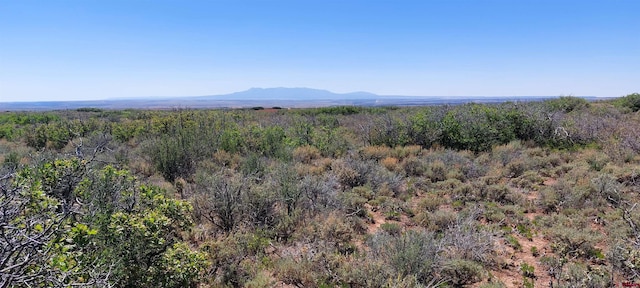 TBD Road C, Dove Creek CO, 81324 land for sale