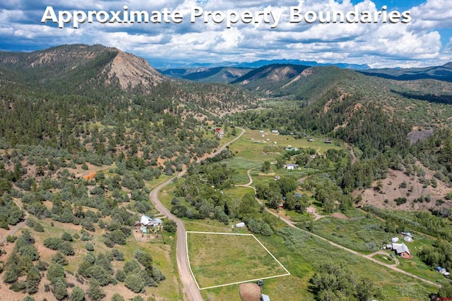 Listing photo 2 for X County Road 335, Pagosa Springs CO 81147