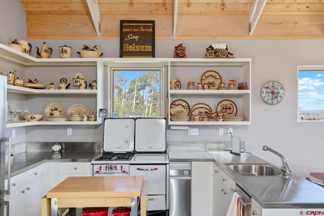 1006 Top Of The World Dr, Placerville, CO 81430 - kitchen featuring sink, white cabinets, stainless steel counters, and a healthy amount of sunlight