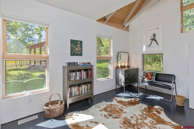 1006 Top Of The World Dr, Placerville, CO 81430 - sitting room with plenty of natural light and vaulted ceiling with beams