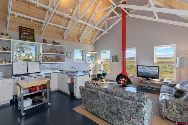 1006 Top Of The World Dr, Placerville, CO 81430 - living room featuring a wood stove, beam ceiling, sink, wood ceiling, and high vaulted ceiling