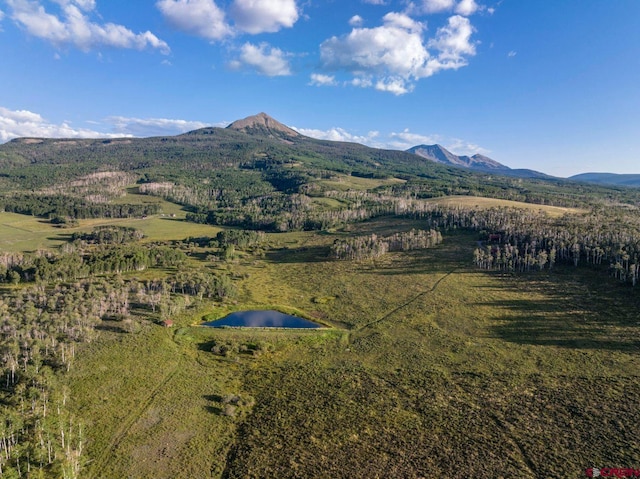 drone / aerial view with a water and mountain view