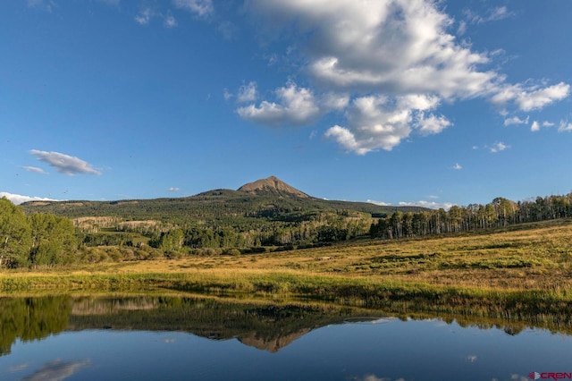 1006 Top Of The World Dr, Placerville, CO 81430 - mountain view featuring a water view