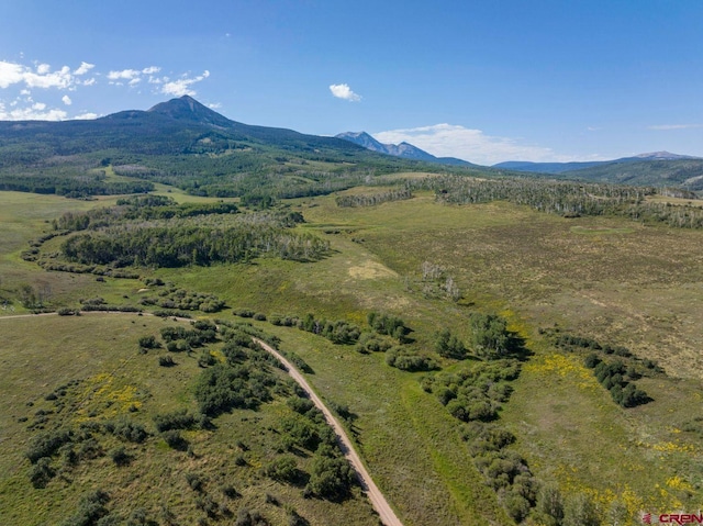 1006 Top Of The World Dr, Placerville, CO 81430 - bird's eye view with a mountain view