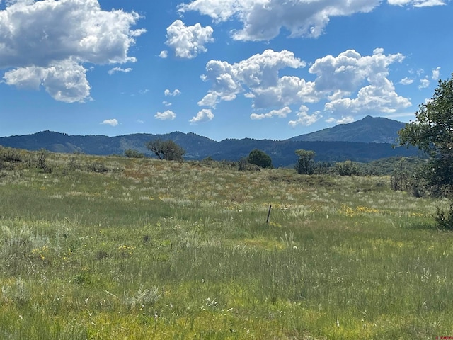 1174 W Arbol Park Dr, Chromo CO, 81147 land for sale