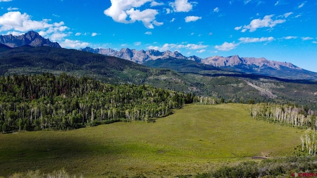 9757 County Road 5, Ridgway CO, 81432 land for sale