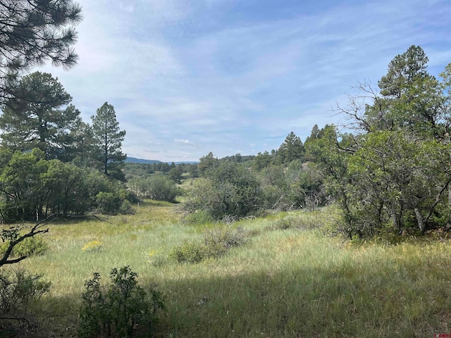 257 E Arbol Park Dr, Chromo CO, 81128 land for sale