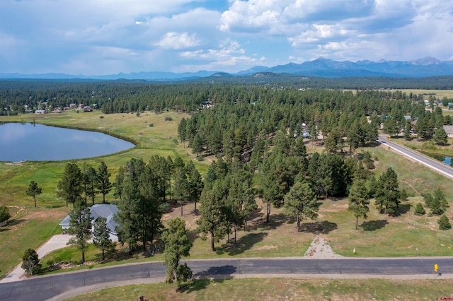 Listing photo 2 for 67 Glen Eaton Dr, Pagosa Springs CO 81147