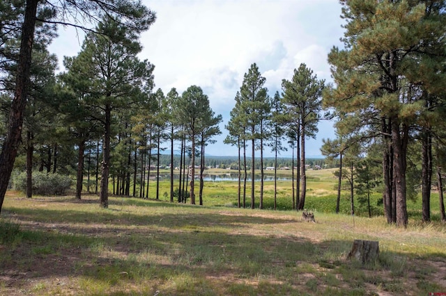 Listing photo 3 for 67 Glen Eaton Dr, Pagosa Springs CO 81147