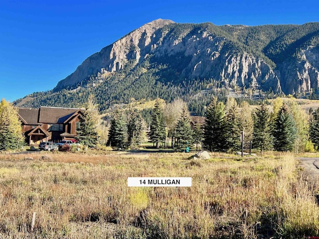 14 Mulligan Dr, Crested Butte CO, 81224 land for sale