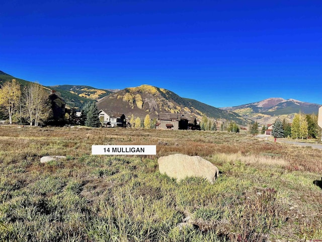 Listing photo 3 for 14 Mulligan Dr, Crested Butte CO 81224