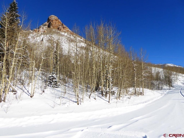 TBD County Road 6, Silverton CO, 81433 land for sale