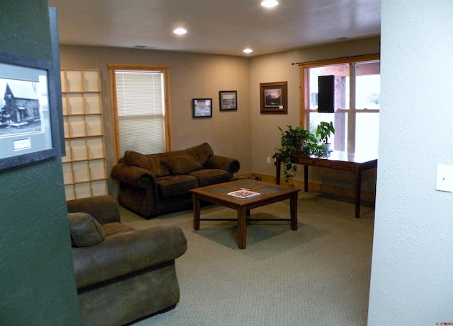 living room featuring carpet floors