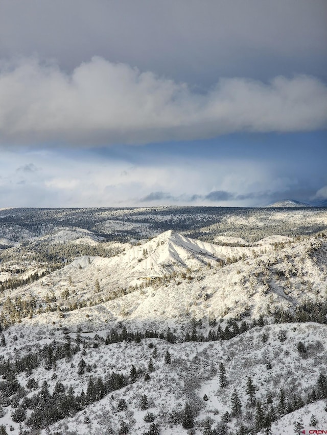 Listing photo 3 for 1151 Gun Barrel Rd, Pagosa Springs CO 81147