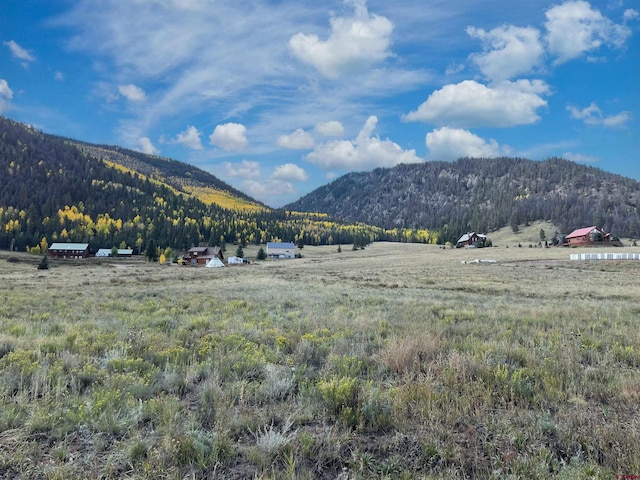 362 Diamond Rd, Creede CO, 81130 land for sale