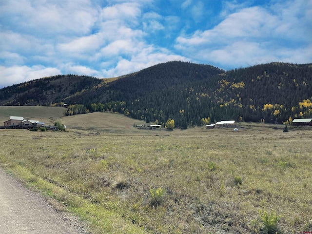 Listing photo 3 for 362 Diamond Rd, Creede CO 81130