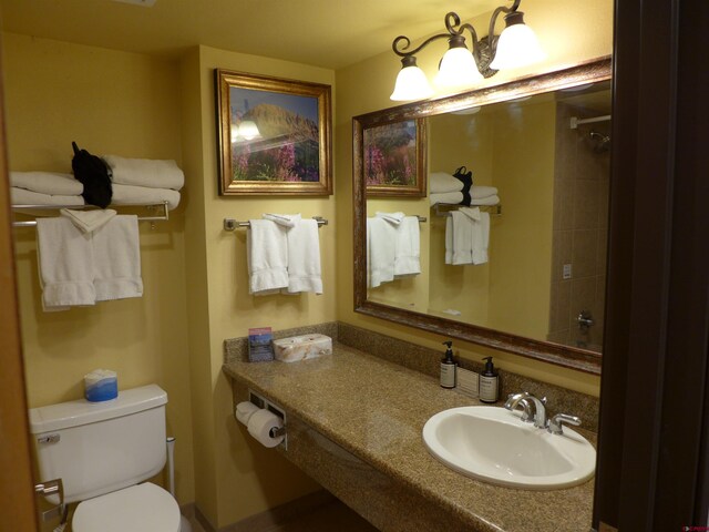 bathroom featuring toilet and oversized vanity