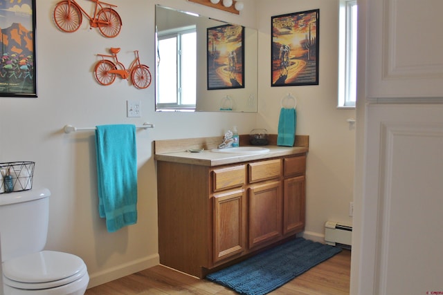 bathroom with vanity, wood-type flooring, and a wealth of natural light