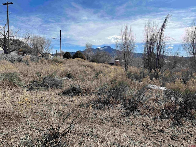 Listing photo 2 for TBD Willow, Trinidad CO 81082