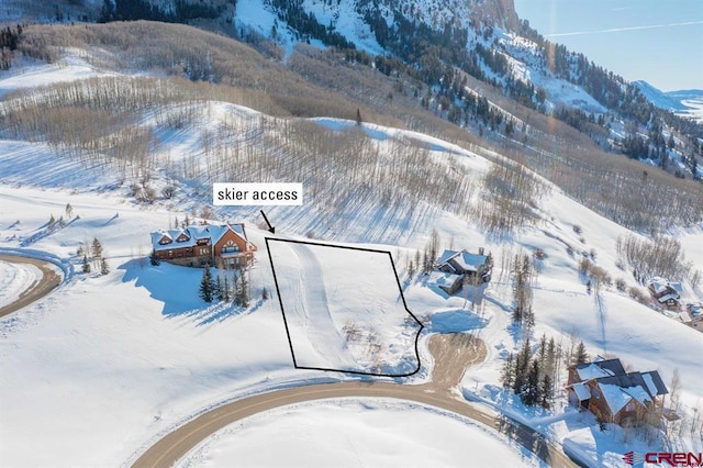 21 Summit Rd, Mount Crested Butte, CO 81225