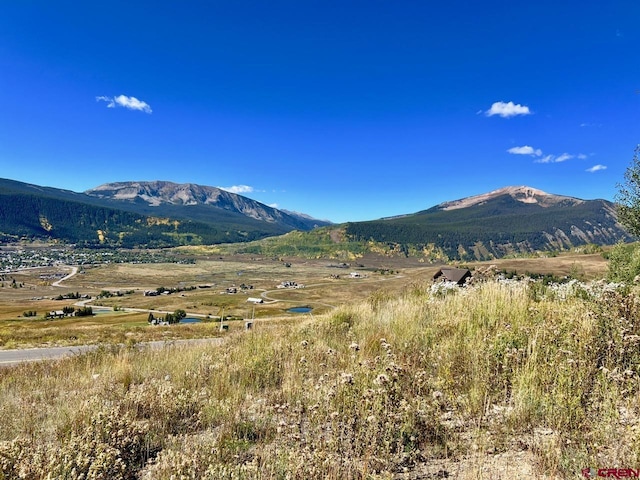 21 Summit Rd, Mount Crested Butte, CO 81225