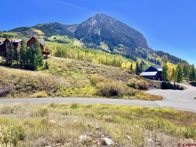 21 Summit Rd, Mount Crested Butte, CO 81225