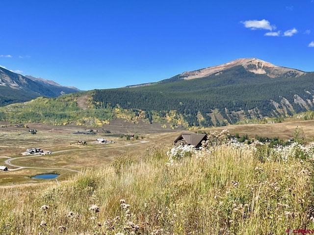 21 Summit Rd, Mount Crested Butte, CO 81225