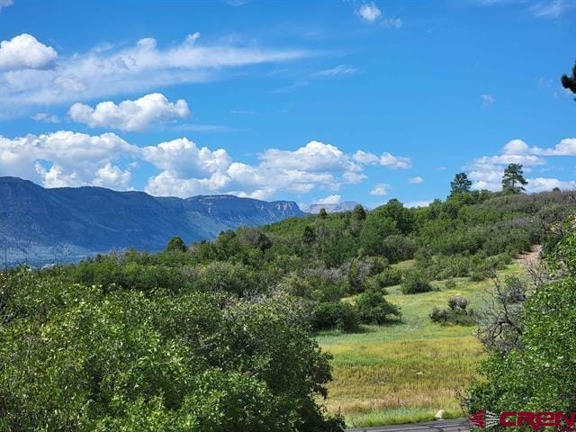 Listing photo 2 for TBD Purple Sage Rd, Durango CO 81301