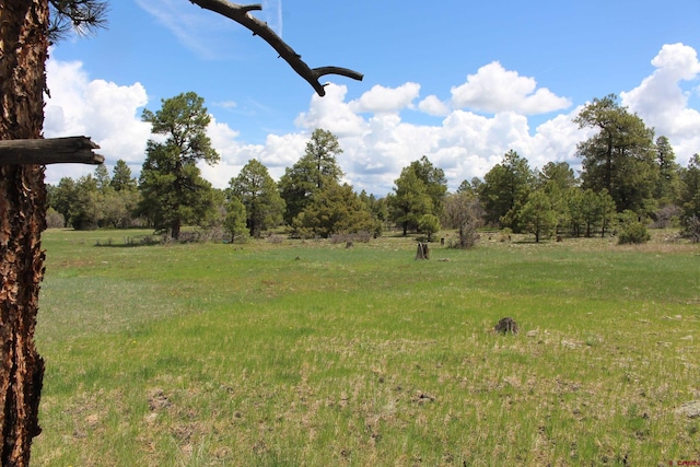 Listing photo 2 for 260 Mariposa, Pagosa Springs CO 81147