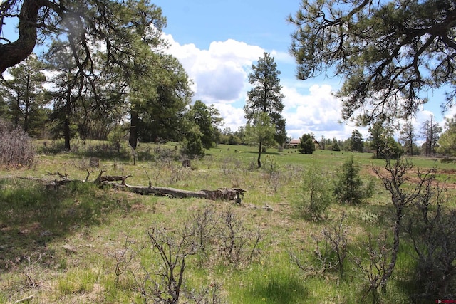 Listing photo 3 for 260 Mariposa, Pagosa Springs CO 81147