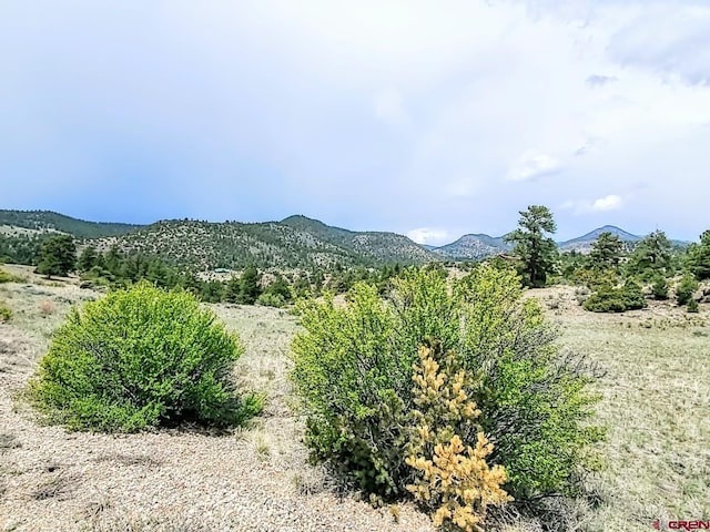 61 Red Tail Ct, South Fork CO, 81154 land for sale