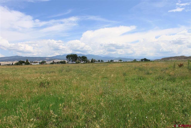 TBD 6600 Road, Montrose CO, 81403 land for sale